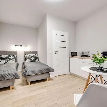 Platinum 25 Z Aneksem Kuchennym I Tarasem * Rybnik (Silesia)