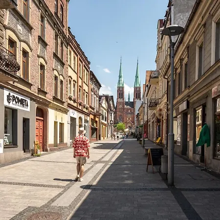 Lägenhet Platinum 25 Rybnik (Silesia)