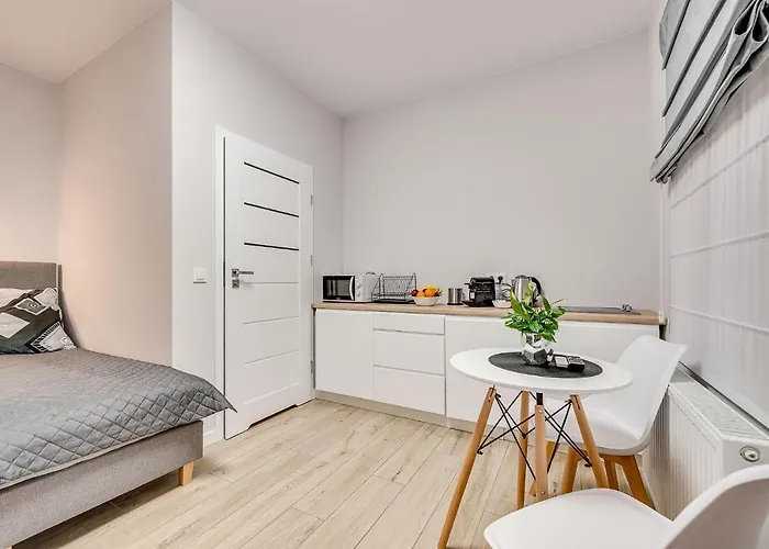 Platinum 25 Apartmán Rybnik (Silesia)